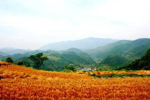 庆祝第十个中国旅游日 | 2020年5月17日 助力519，重走霞客路