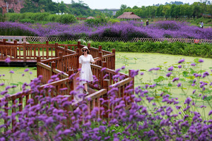 休闲摄影旅行 | 2020年6月7日带你走进一个有故事的地方