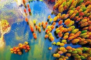 绿色长征十五站|12月13日追寻浙东红色革命足迹，打卡四明湖红杉林，欣赏江南喀纳斯不一样的风景