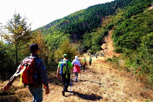 赏秋看黄|2021年11月21日千里走宁海-茶院站 火爆报名中