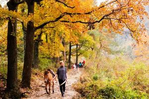 绿色长征二十四站扫黄行动|2021年11月28日徒步南黄古道，带你走进秋的童话世界