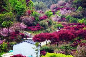 绿色长征二十五站赏秋看枫|2021年12月5日跟我走栖霞古道，去看醉美红枫