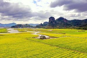 绿色长征二十八站|2022年3月6日走象鼻山，看爆红全网的桃江十三渚500亩油菜花