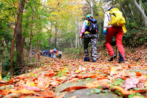 2022年11月27日千里走宁海|黄坛站：灵山-张家山-野猪塘-下林-瓦窑山 轻装徒步 火爆抢位中