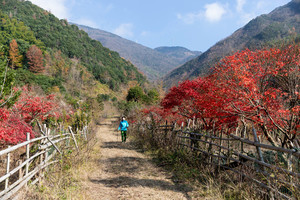 2022年12月18日千里走宁海-力洋站：峧龙溪十八龙潭环线 火爆报名中（报名即可抽奖）