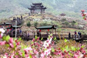 3月26日|“寻美胡陈 零碳未来” 2023千里走宁海—胡陈站 火爆报名中