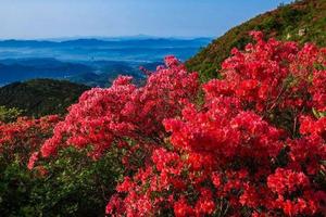 绿色长征三十六站|2023年4月16日仇家水库-剑岩-影潭山-仙人桥脚-仇家水库 赏杜鹃花环线