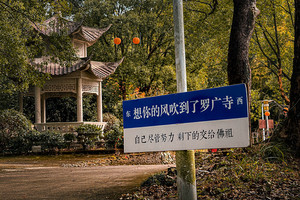 绿色长征四十一站|2023年12月17日徒步穿越白龙潭-白岩口-罗广寺-辛王 火爆报名中