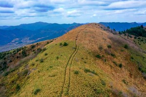 绿色长征四十七站|2024年10月13日宁波版武功山-东盘山徒步活动 火爆报名中 火爆报名中