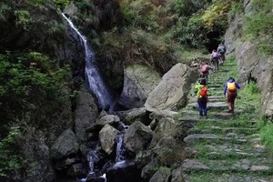 绿色长征四十九站|2024年11月17日徒步雪窦岭古道，打卡网红水杉林，寻觅最美秋色 火爆报名中