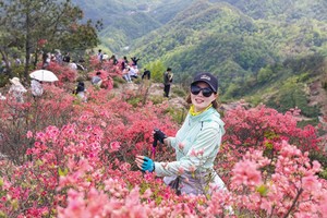 绿色长征五十七站|2025年4月13日新昌大岩岗杜鹃花海徒步穿越 火爆报名中