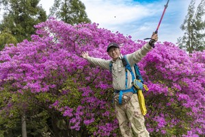 绿色长征五十八站|2025年4月20日徒步龙潭岗 穿越桃花溪打卡华东第一杜鹃花王 （因事取消）