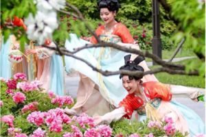 【清明-洛阳】4.4-6VIP豪华车：千年帝都赏牡丹，龙门石窟，清明上河园，白马寺，品老街水席