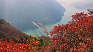 【巫山红叶】12.12晚-14VIP豪华车：行摄三峡龙脊、文峰观漫山红叶+船游巫峡+登翠屏峰、观神女峰