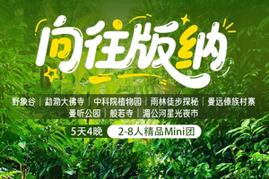 【向往版纳5日】每周六发团/版纳集散：野象谷｜大佛寺｜植物园｜雨林徒步｜曼远｜曼听公园｜般若寺｜星光夜市｜精品Mini团