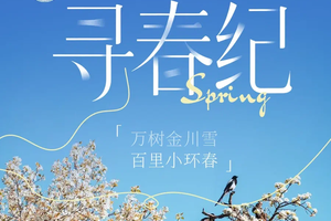 【寻春纪·金川梨花4日】成都集散：万树金川雪，百里小环春