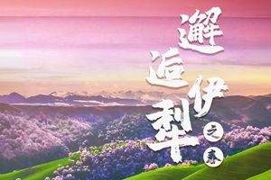 【邂逅伊犁之春7日】乌鲁木齐集散/2-6人VIP小团/豪华大七座：伊犁草原赏杏花环线