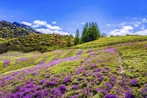 【五一●醉美渝东北】5.1-5VIP豪华车：红池坝、兰英峡谷、万州大瀑布、天下龙缸、宁厂古镇、天下梯城