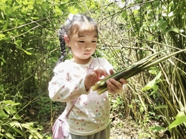 【周日-轻徒步】 4.26 探九古奇村+摘水竹笋+品地道农家菜