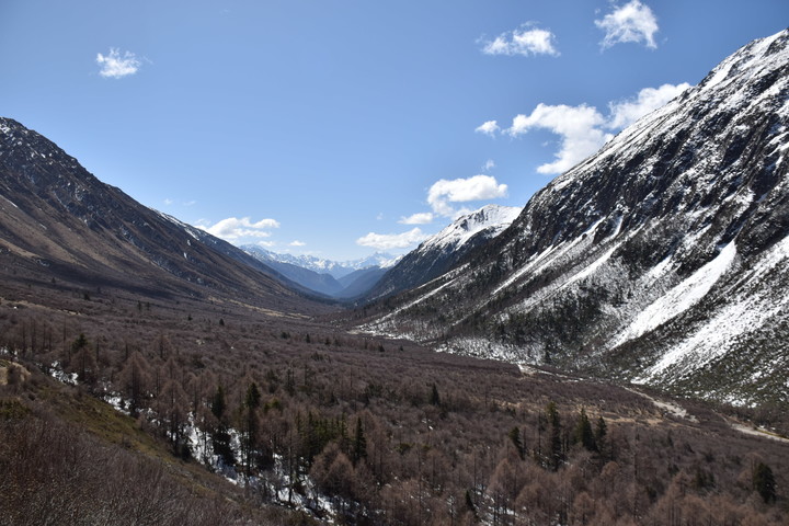 DSC_0257.JPG