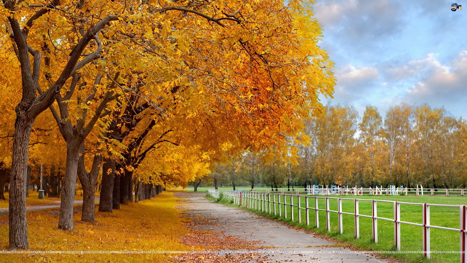 这里五个字这里五个字这里五个字这里五个字这里五个字这里五个字