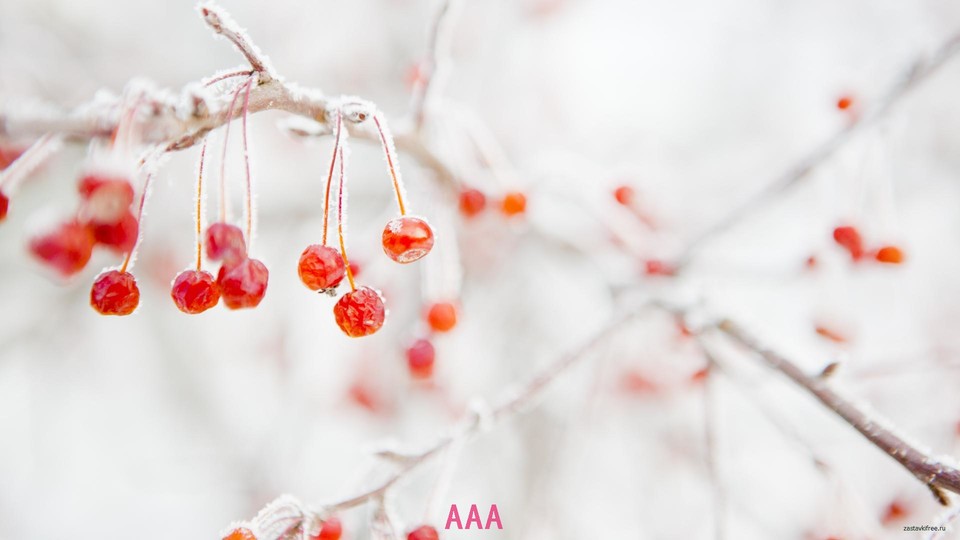 IDR_THEME_NTP_BACKGROUND