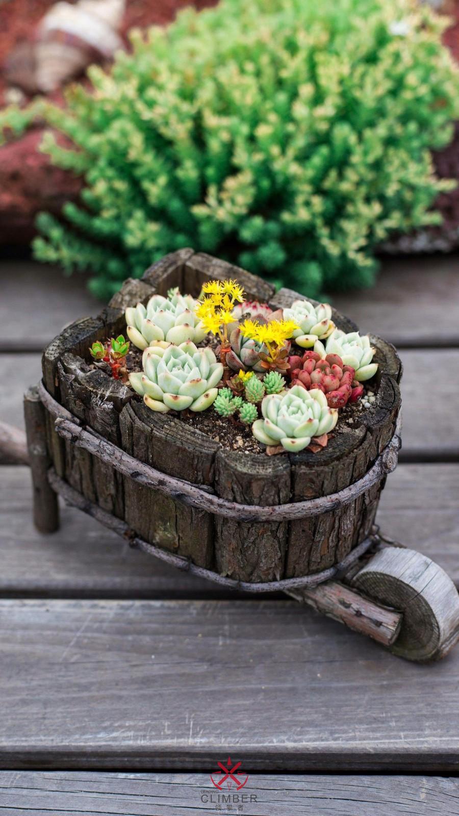 magazine-unlock-05-2.3.1127-_7ABA1D10F6102AB4FE07C5AE0CD28A6E