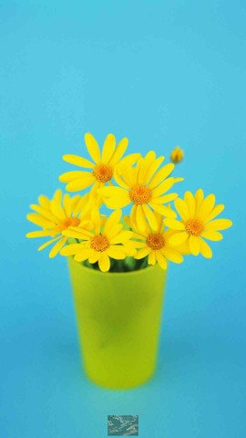 zpZxDDyZ5ixjthLEjb7WCps20yoIOXjLQDA84Iawgb8djB_-M366wVzrr3Nb67ej