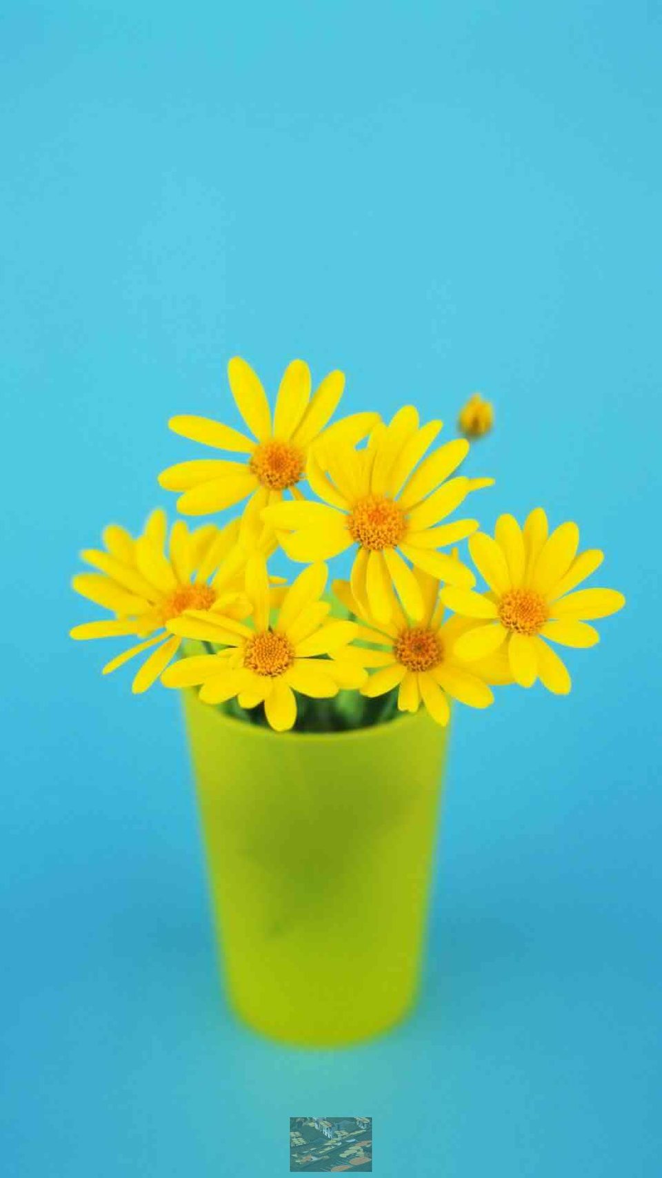 7gg4yDrNxwQ8slZQ2rDzT580igWLSKwHqSKSFDOiUbWhVCcVjVnxvSlTkxAazGw2