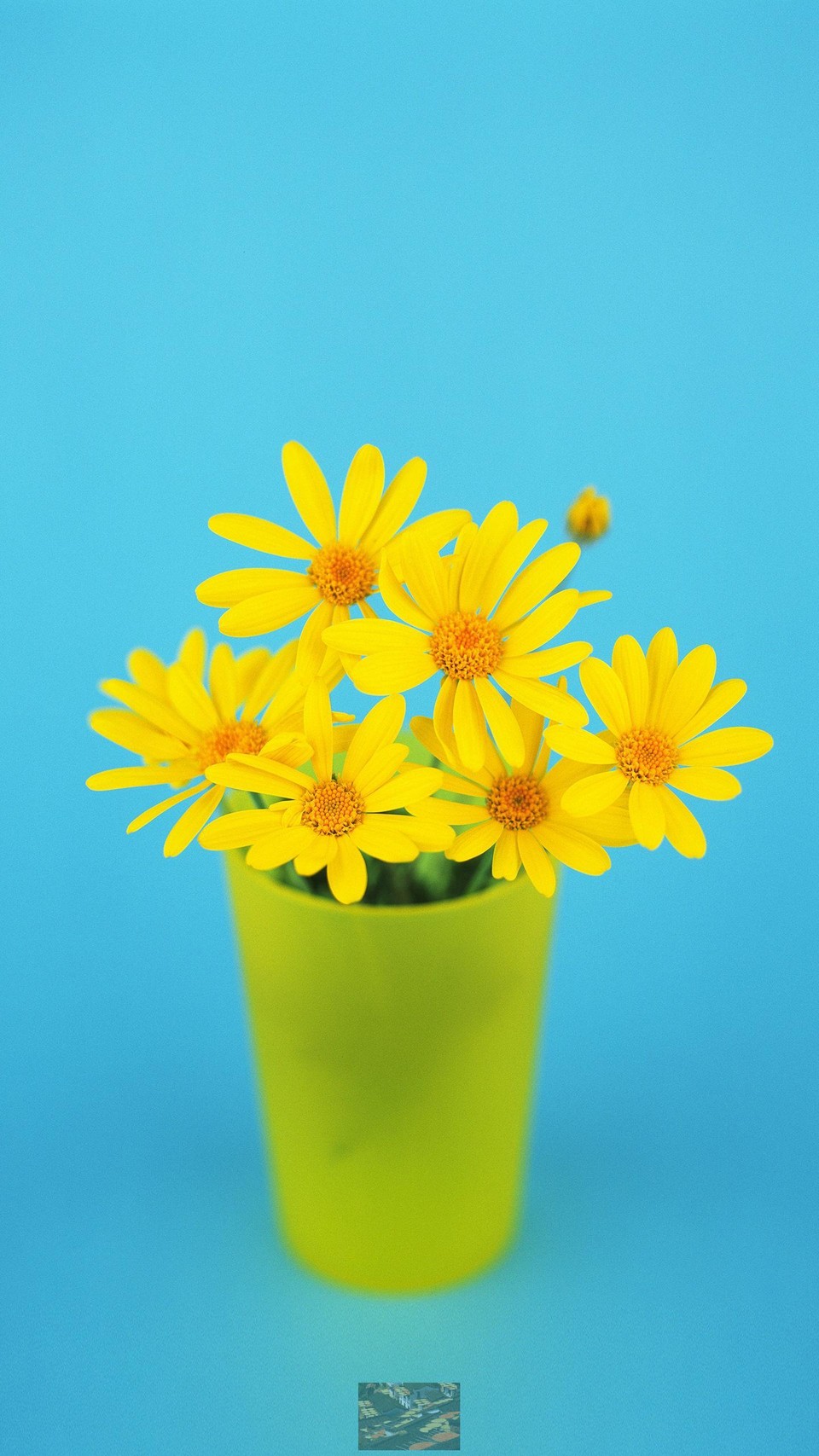 Oyw2OHtvR8nlc5Zp2Re19mpcBPotlOqLxvciQRrmXIWTrxirl2Fx35lA0NGO_HdO