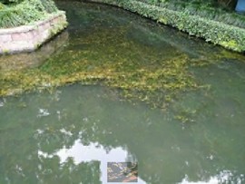 fk8HPuMekIDu0zBTSXrPd8yEXCHHH_X3_jC9SZDrUXwvuWaqdU-dooCP-g8hlRzQ