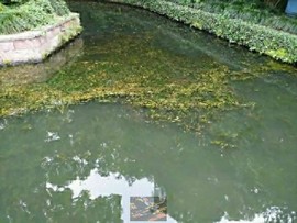 DMirdIF1fmLY00GHmY0akJnVVDn3Pb9Y_LkJySBCvi1pUkxtfKsTmty6HpuEcAdx