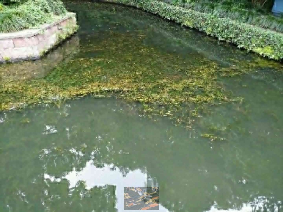 DMirdIF1fmLY00GHmY0akJnVVDn3Pb9Y_LkJySBCvi1pUkxtfKsTmty6HpuEcAdx