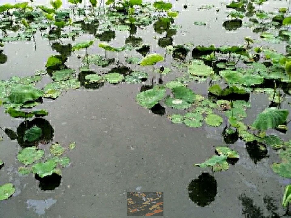 _M4uklqJWqFD6Z_POEZnTE036ODfMo3-f3pUZPE0wJP6PxFRBcazi0_BqDY9uzNd