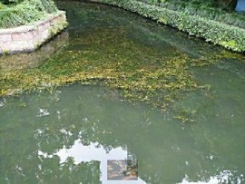 FhrCCPaob4vXRxsPvy2pKZcPJo9y1GVtGZIW3dTiQc4k8GTXNIsSjVx9PdrjzgD7