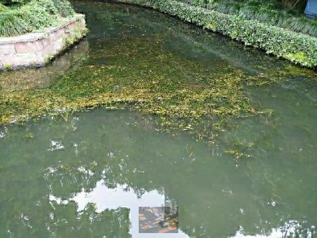 FhrCCPaob4vXRxsPvy2pKZcPJo9y1GVtGZIW3dTiQc4k8GTXNIsSjVx9PdrjzgD7