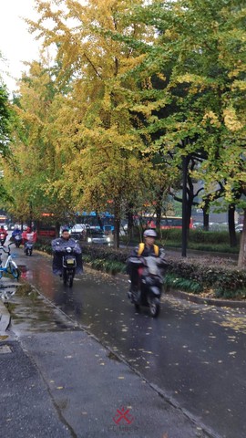 i06YbCFvYCk9JayEAqf-T872CoE5-8NVW7rZu7uS9SAkPMl-Runo8h_P_2cRtlu3