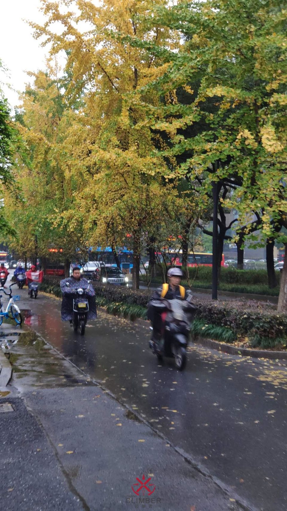 i06YbCFvYCk9JayEAqf-T872CoE5-8NVW7rZu7uS9SAkPMl-Runo8h_P_2cRtlu3