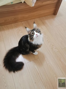 006hKTyIgy1glhnky18ivj32402tc7wi (1)