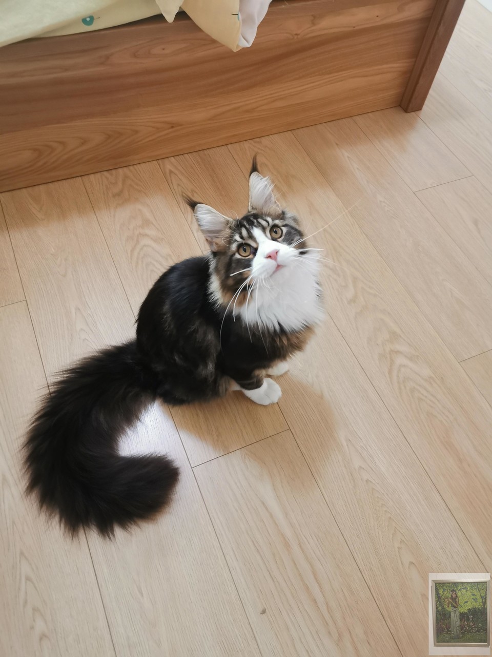 006hKTyIgy1glhnky18ivj32402tc7wi (1)