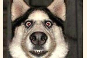 卖帅哥卖帅哥卖帅哥卖帅哥