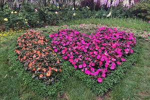 赛会通发布的活动