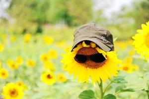 新的商品----只可活动积分
