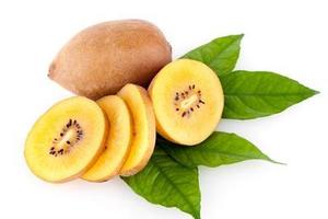 鲜百年 四川金艳黄心黄肉猕猴桃30粒 单果重75-90克