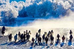 【12.23-25】乌兰布统越野车穿越冰雪3日行摄：北国雪乡、水墨画境、梦幻雾凇、万马奔腾、 银装素裹、冰雪世界