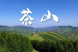 【26.7.1-7.2 周三四】绿野仙踪云端仙境蔚县2日游：茶山高山草甸花海古村（不徒步小车上山）+小五台辉山+蔚州古城