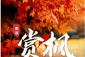 【26.10.8-11】经典本溪红枫快摄4天：红枫三绝关门山-大石湖-老边沟+小众秘境大冰沟+中国枫叶大道