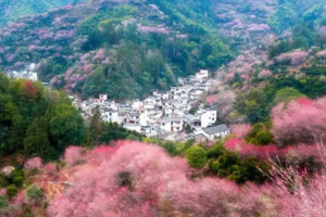 【2.27-3.5正月十一~十七】徽州正月鱼灯赏梅7日游：汪满田鱼灯、卖花渔村梅花、齐云山、呈坎、徽州古城、石潭晨雾