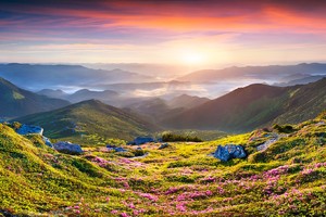 【5.15-20】春游巴楚6日含船：神农架、神农溪、巫峡口、水上公路、大九湖、神农顶、天燕、官门山、天生桥