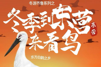 【1.1-1.3】冬游齐鲁东营观鸟双汽3日：黄河入海口＋红滩湿地＋红光渔港＋东八路＋黄河文化馆+世遗候鸟栖息